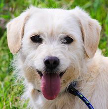 Babette Start Babette Start