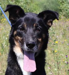 Mimi 5 Start Mimi 5 Start