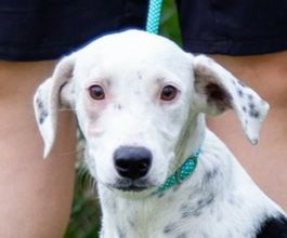 Sofia Start Sofia Start