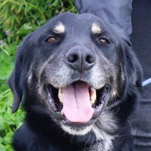 Tiago Start Tiago Start